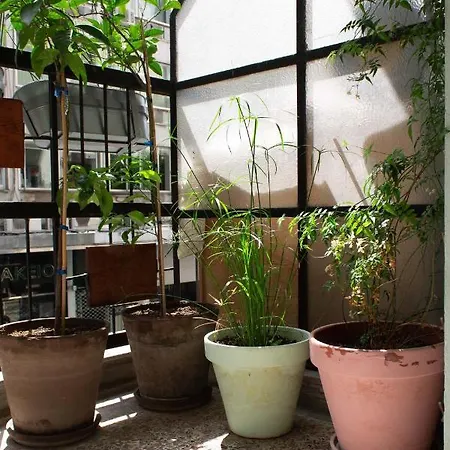 Aristotelous Square סלוניקי