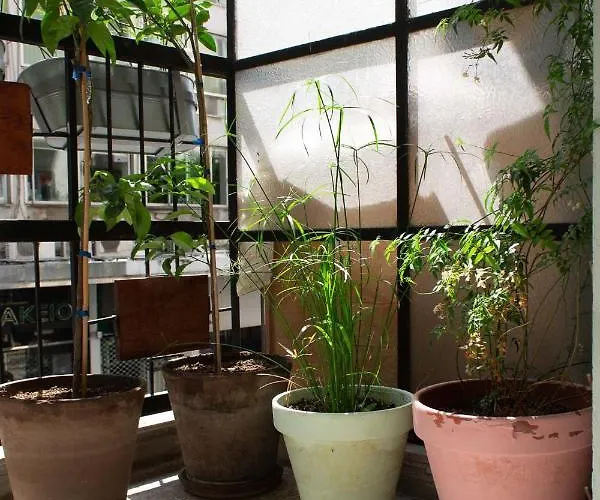 Aristotelous Square 塞萨洛尼基